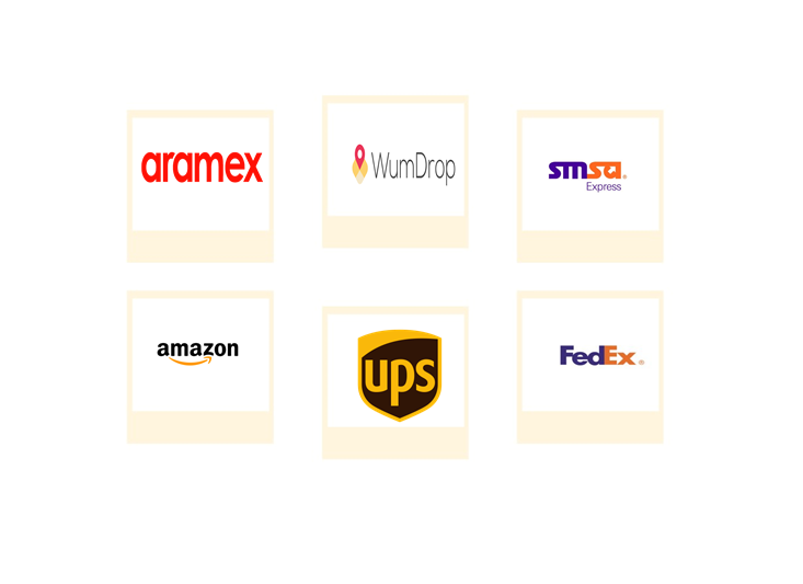 Top Six Companies Middle East Africa Last Mile Delivery Light Market  