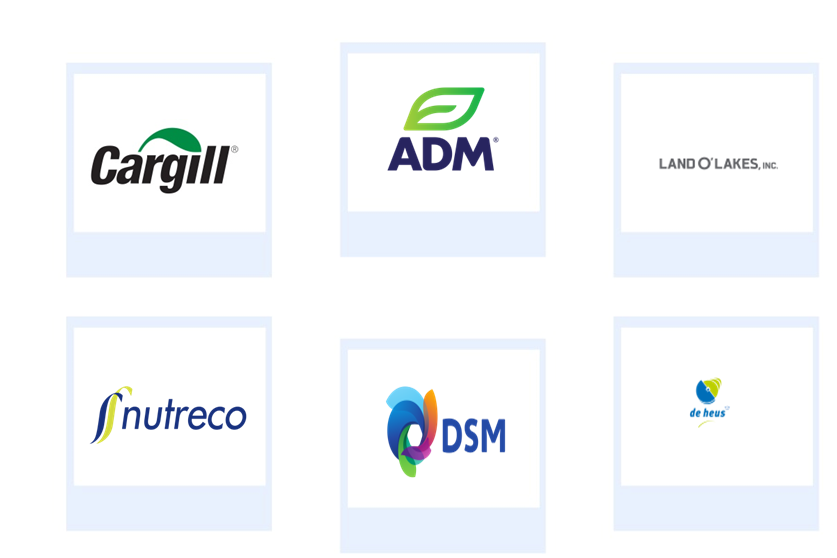 Company mentioned