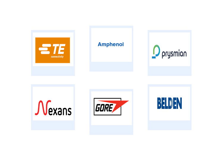 Company mentioned