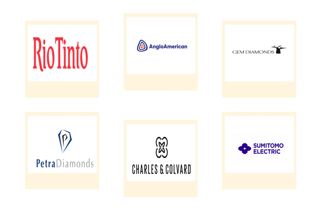 Company mentioned