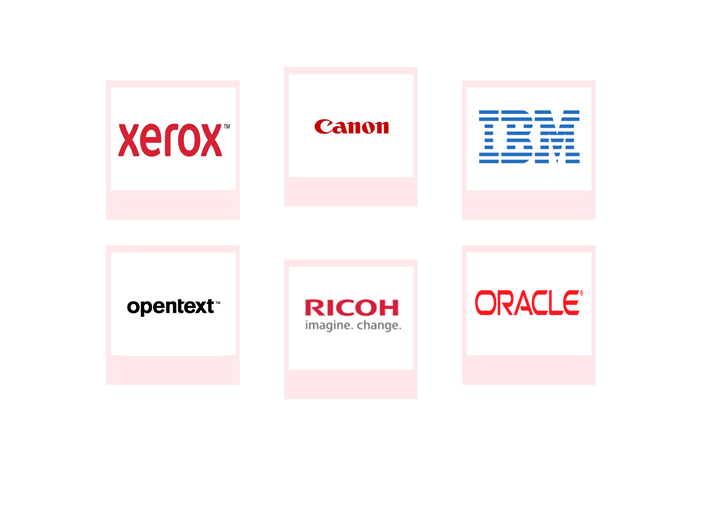 Company mentioned