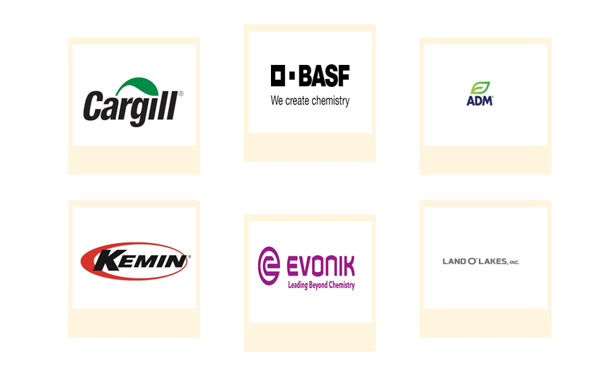 Company mentioned
