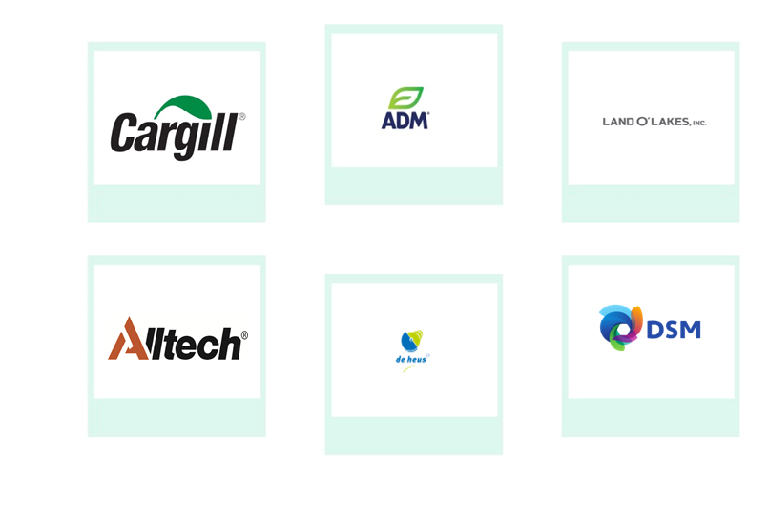 Company mentioned