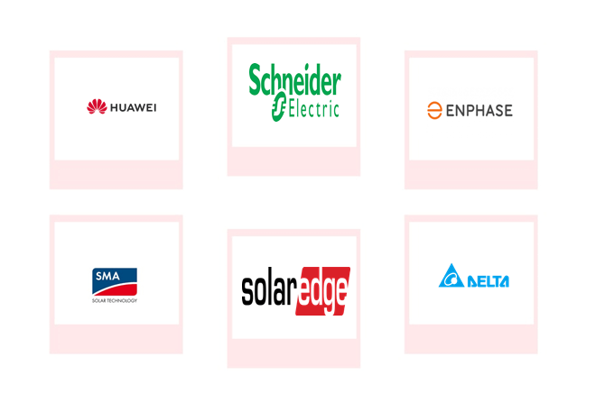 Company mentioned