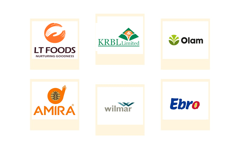 Company mentioned