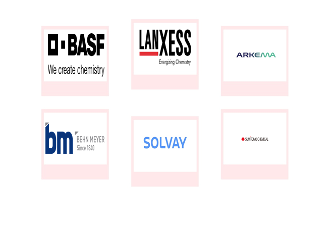Company mentioned