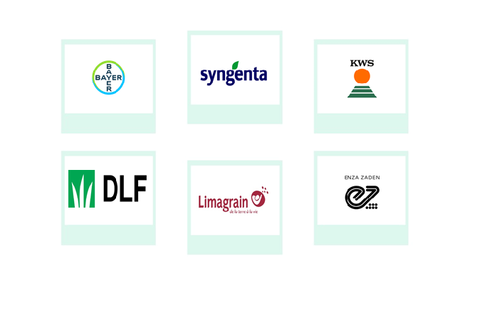 Company mentioned