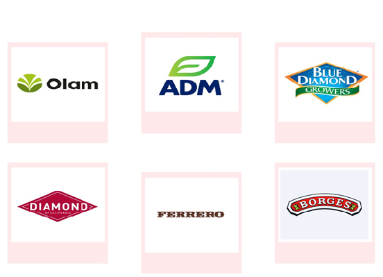 Company mentioned