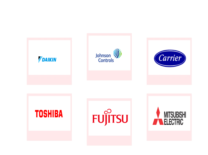 Company mentioned