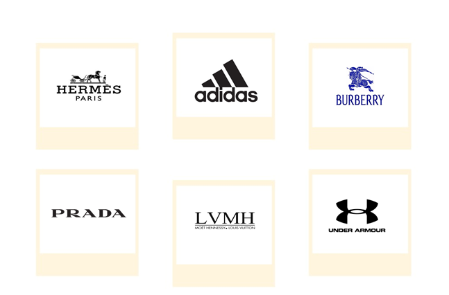 Company mentioned