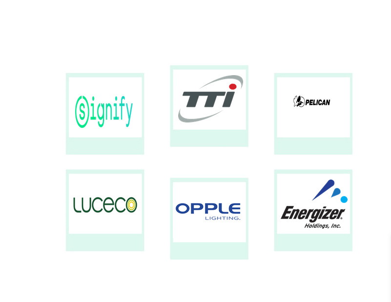 Company mentioned