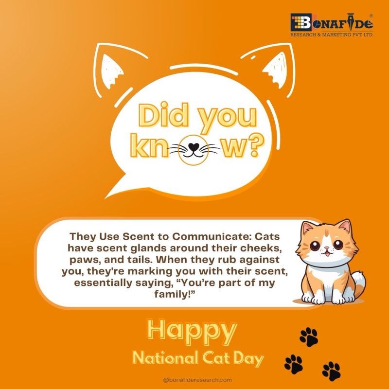 Fact on Cats