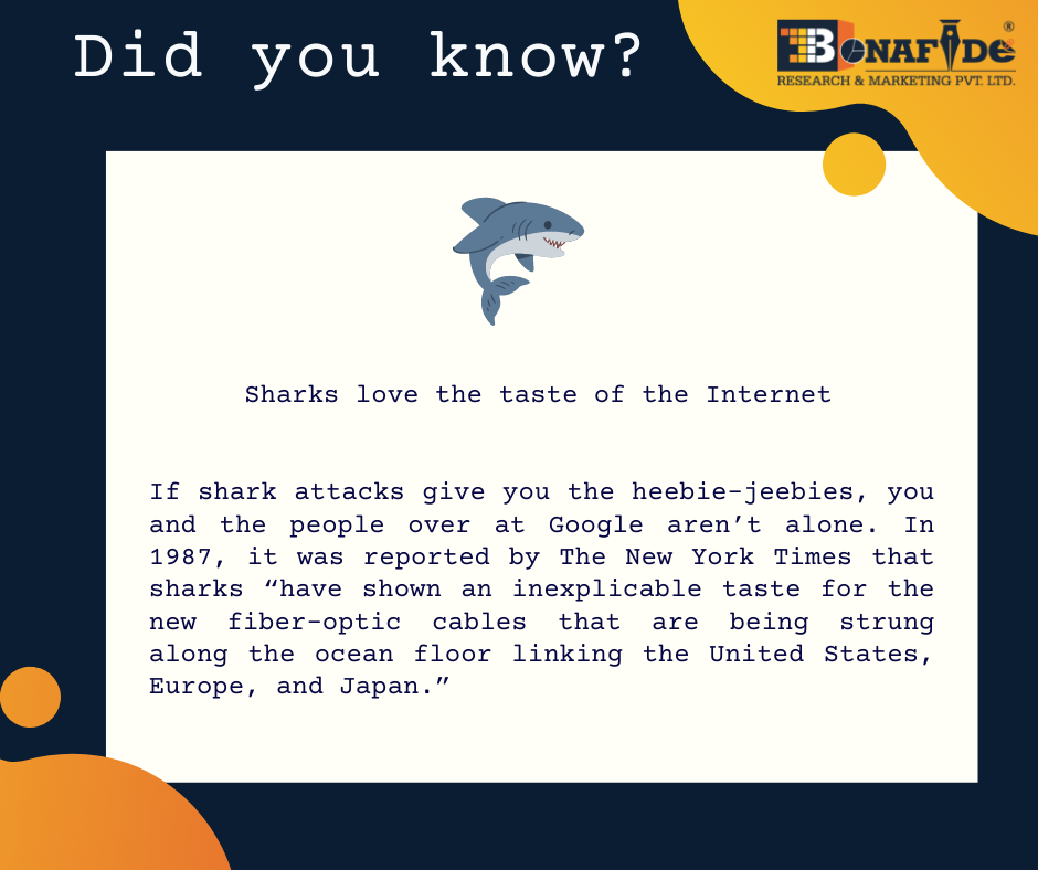 Interesting facts about Sharks