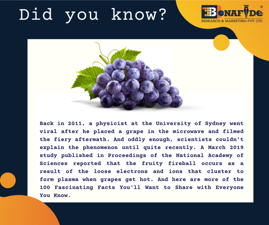 Interesting facts about Frozen