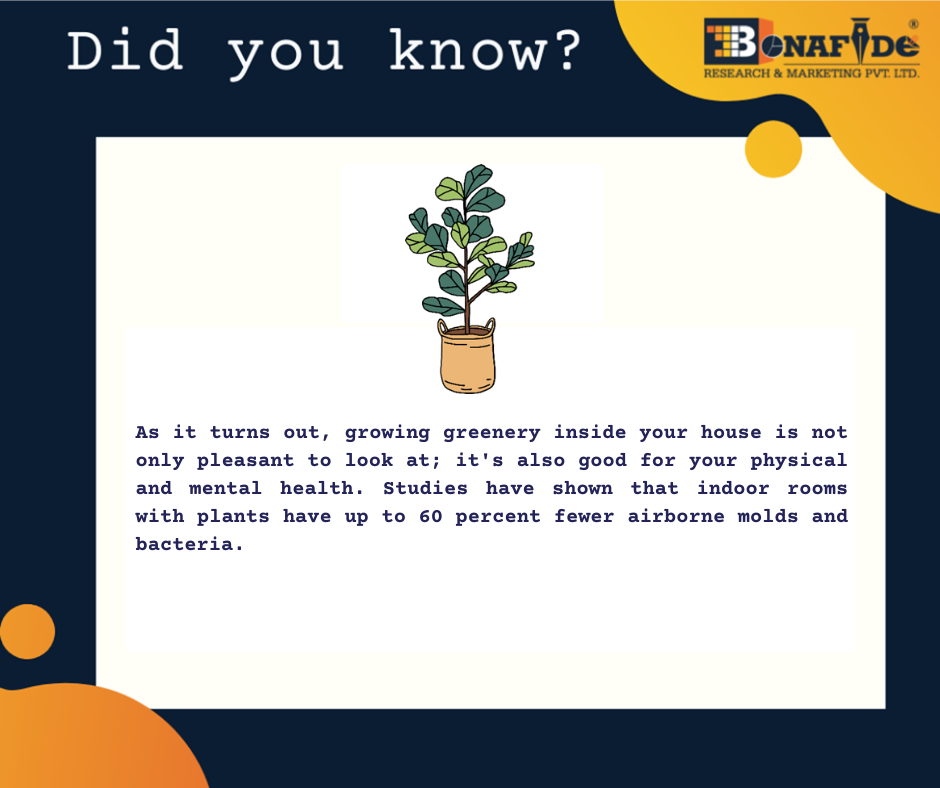 Interesting facts about Green