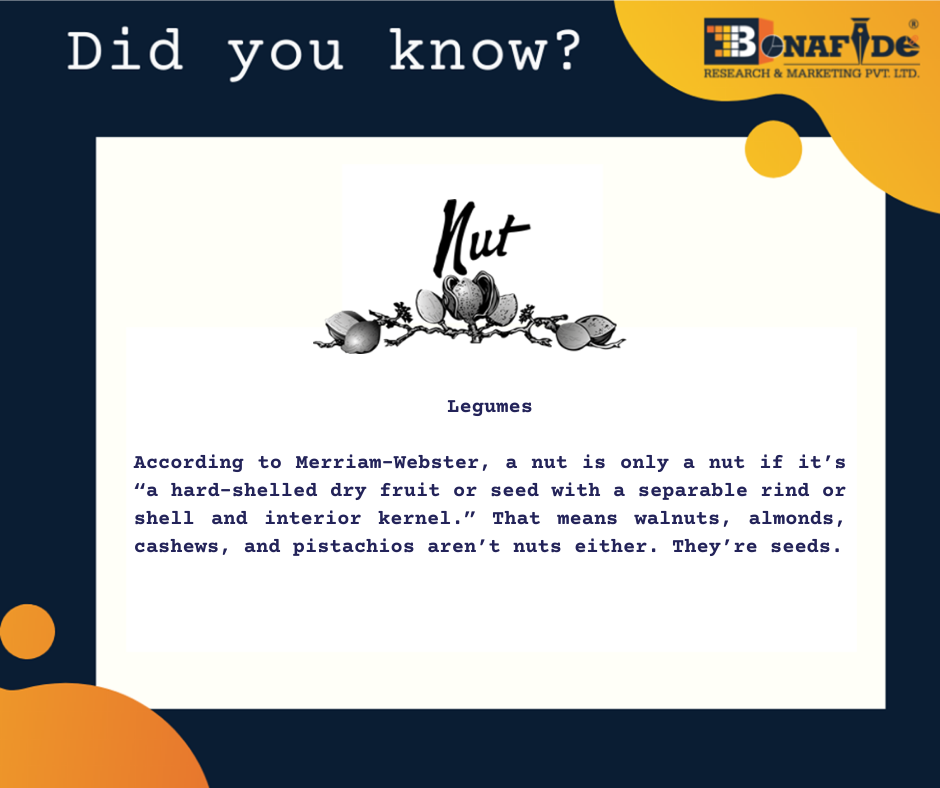 Interesting facts about Nut